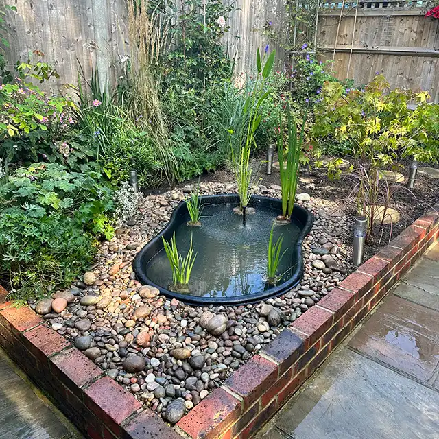 Image from Projects album