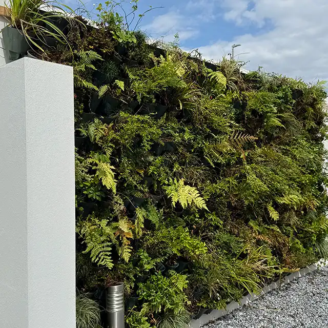 Image from Projects album