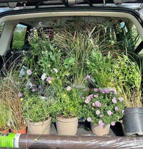 Image from Projects album