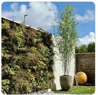 Image from Projects album