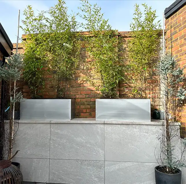 Image from Projects album