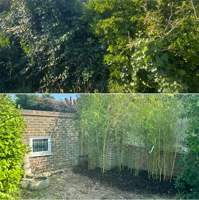Image from Projects album