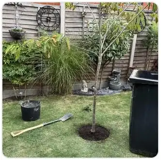 Image from Projects album